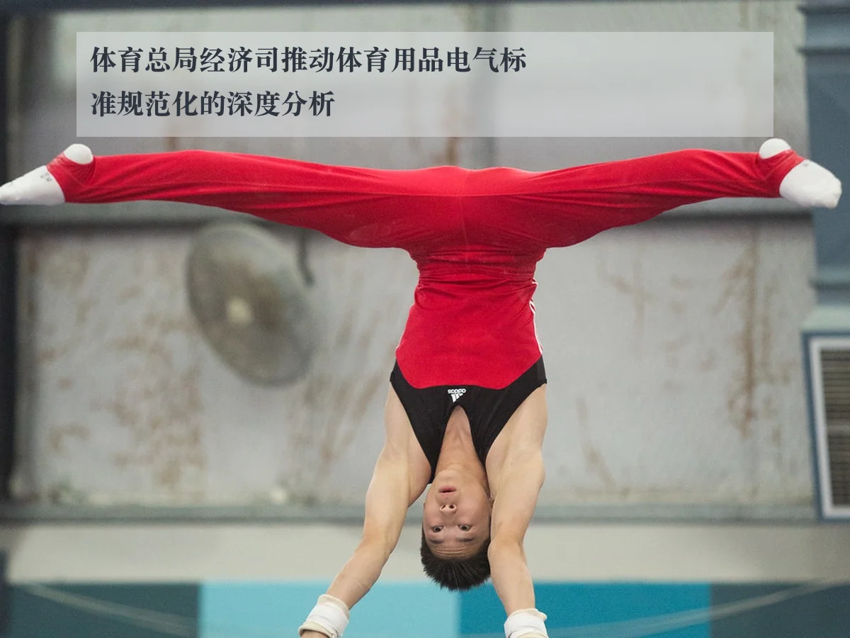 体育总局经济司推动体育用品电气标准规范化的深度分析